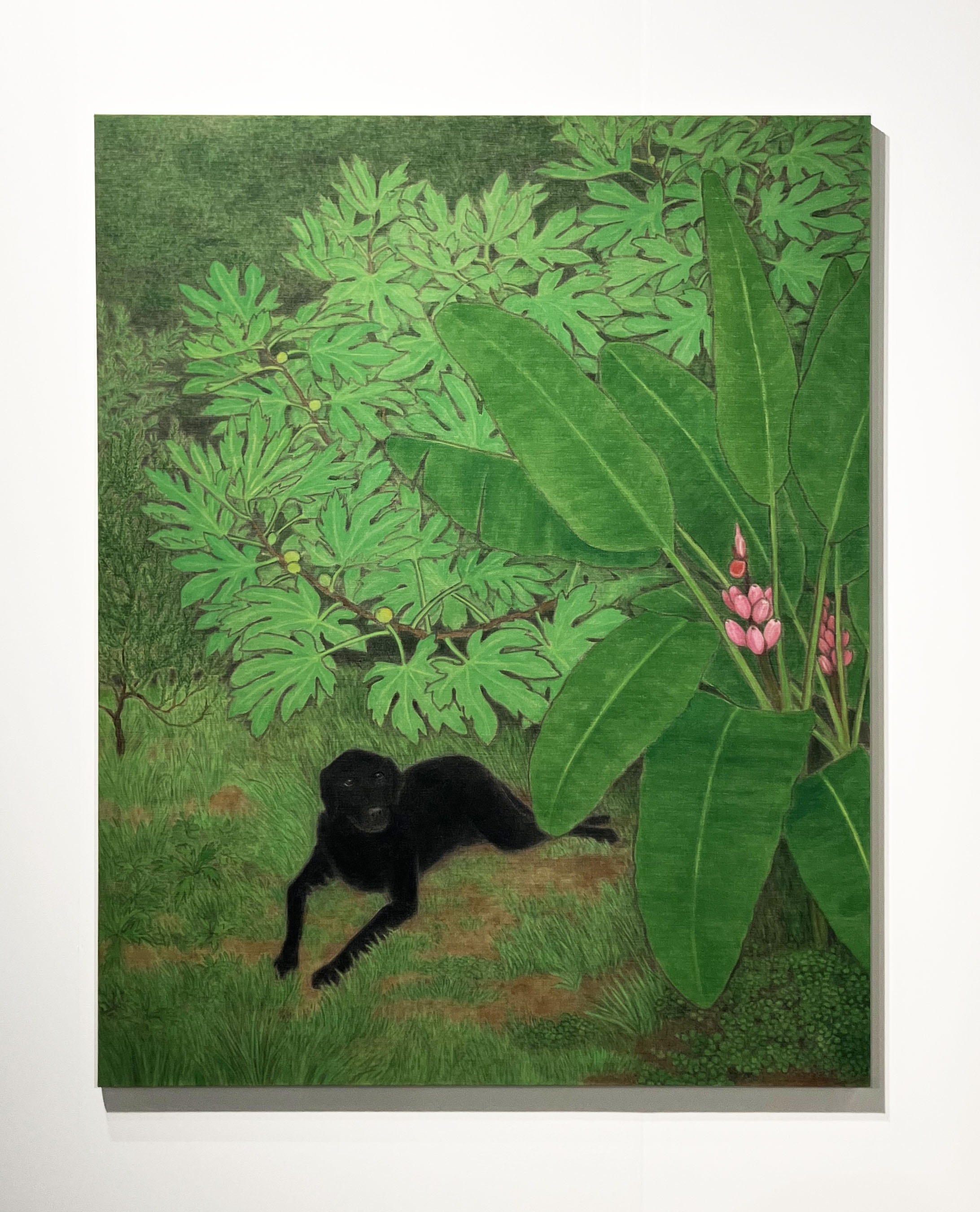 MiamiBaselFavs.AshleyCook